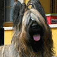 monet_briard